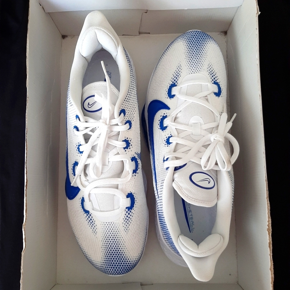 NWT 🏀 Nike Air Zoom BB NXT TB Promo White/ Game Royal size 15.5